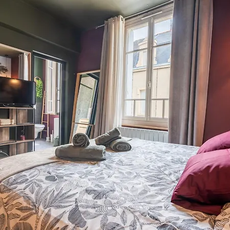 Appartement Le Saint-louis - Tout-équipé Proche Puy-du-fo U *
