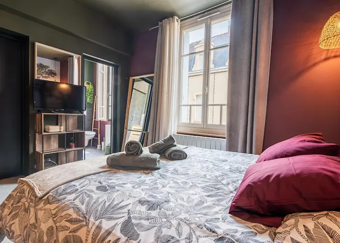 Appartement Le Saint-louis - Tout-équipé Proche Puy-du-fo U *