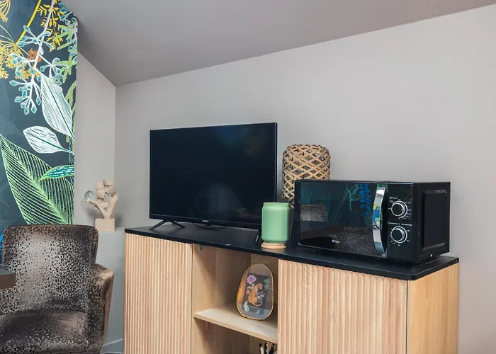 Le Saint-louis - Tout-équipé Proche Puy-du-fo U Appartement