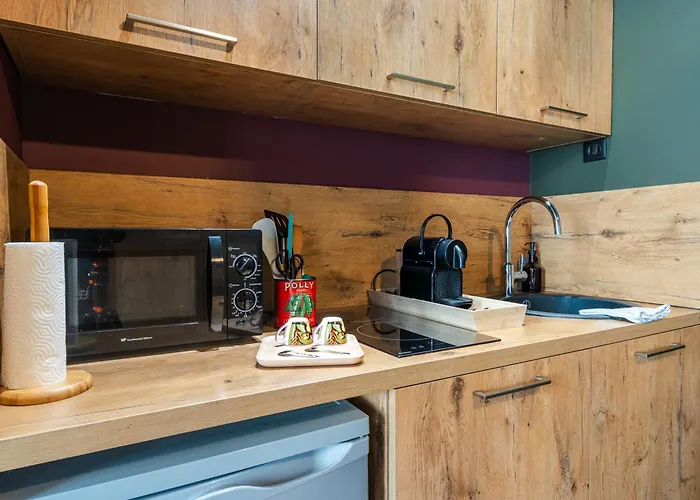 Le Saint-louis - Tout-équipé Proche Puy-du-fo U Appartement *